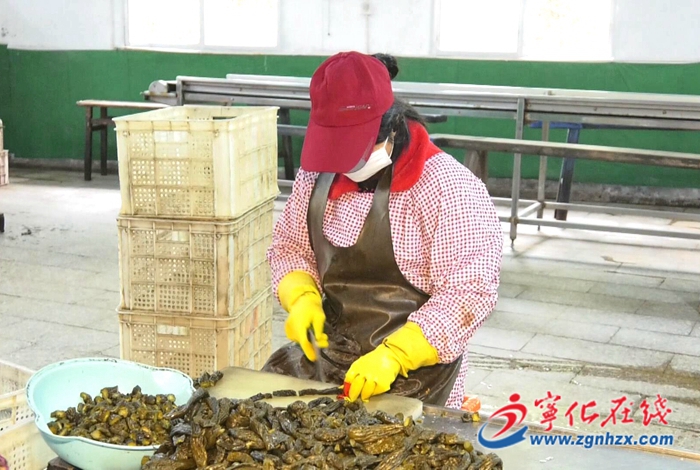 寧化：開展黨建“大體檢” 機關聯村凝“星”聚力促振興