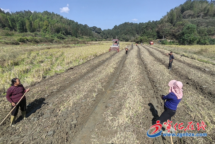 寧化:人才回引 激活鄉村振興“冬眠田”