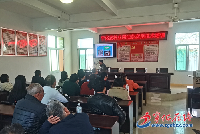 我為群眾辦實事|寧化水茜鎮：送黨課到一線，讓“農村課堂”活起來