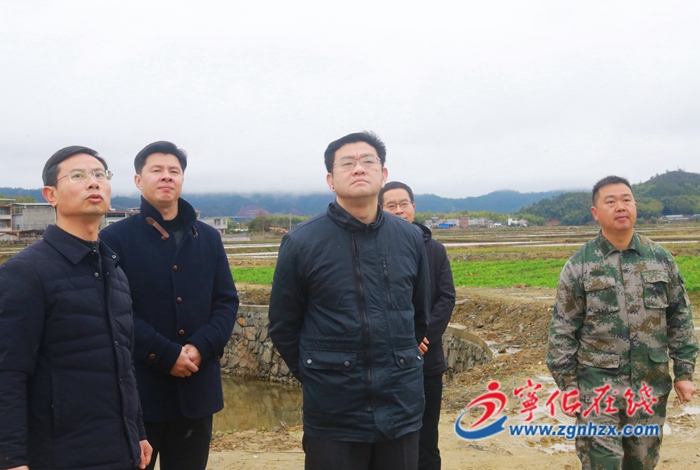 寧化縣領導開展農業項目一季度“開門穩”“開門紅”工作調研