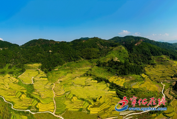 2023年中央一號(hào)文件在寧化縣引起熱烈反響