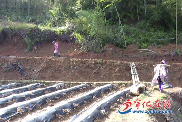 寧化：今年將建設高標準農田3.75萬畝