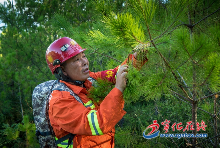 寧化：護林員巡山十二載 守護萬畝青山常綠