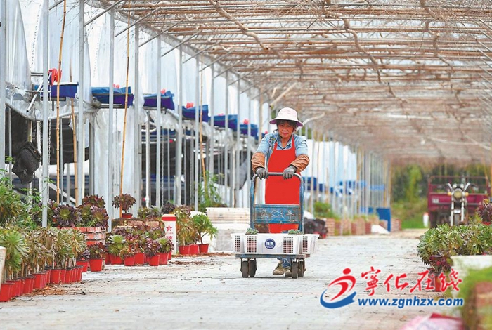 借“肉”發展 美了小村莊