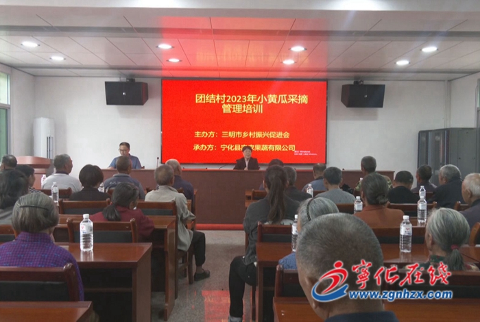 寧化縣淮土鎮(zhèn)：開展2023年小黃瓜采摘管理培訓(xùn)