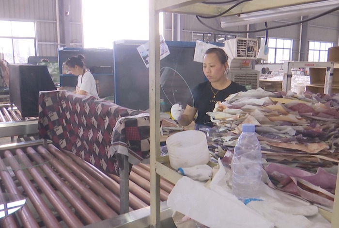 寧化明玥玻璃：產銷兩旺 工人忙生產