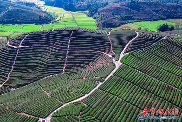 政府工作報告解讀|寧化:堅持宜居宜業建城鄉 加快繪就生態文明新畫卷