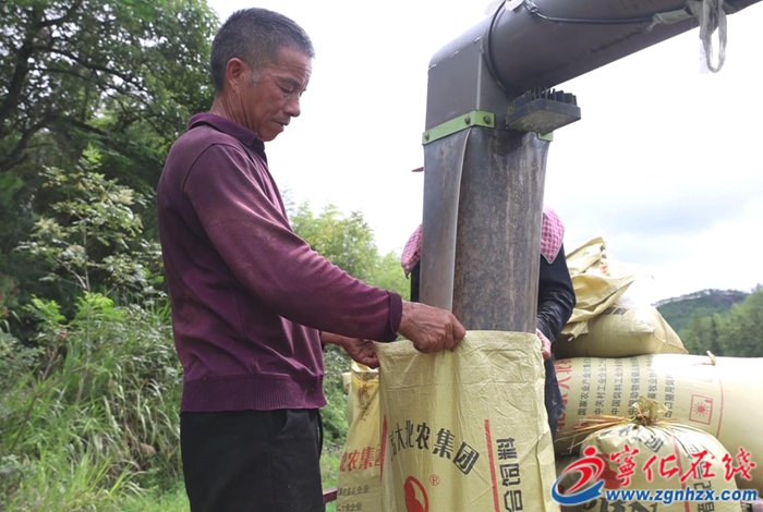 石壁鎮(zhèn):稻谷飄香收割忙