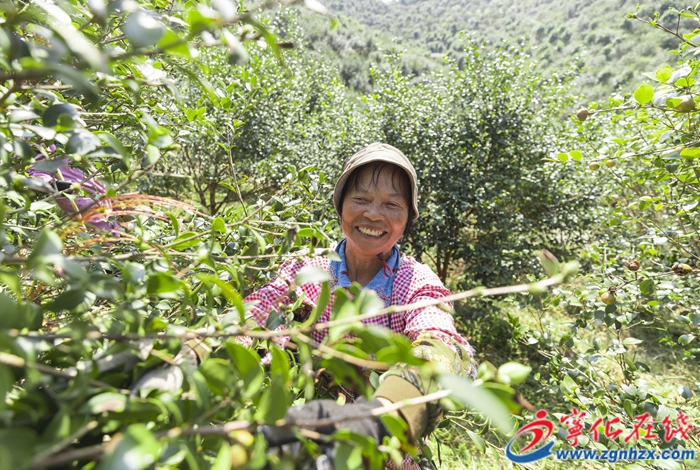 寧化縣淮土鎮:人不負青山,青山定不負人