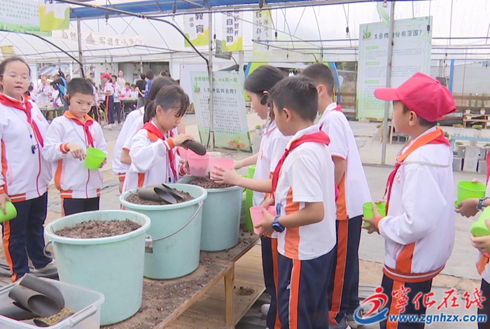 寧化安樂鎮:發展研學旅游 賦能鄉村振興