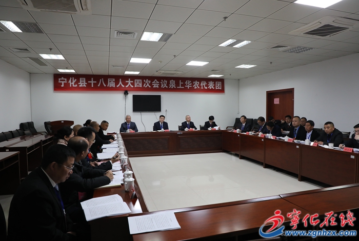 【聚焦兩會】寧化縣領導參加人大分組審議