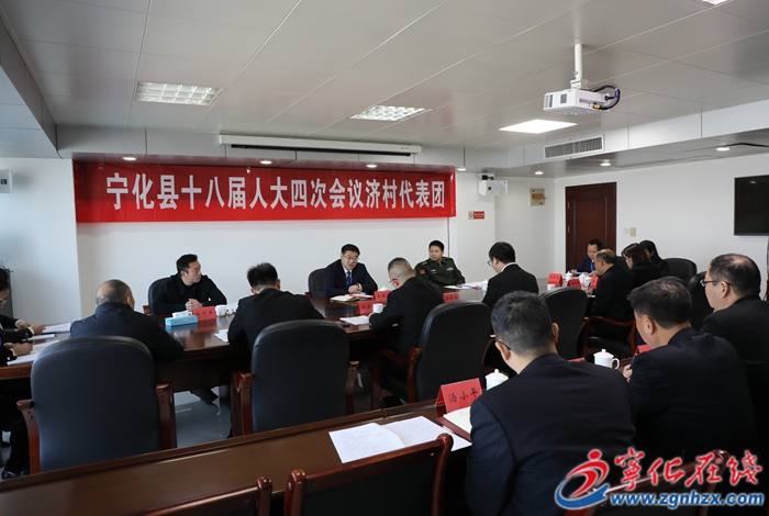 【聚焦兩會】寧化縣領導參加人大分組審議