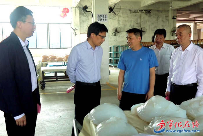 市領導來寧指導督促落實一季度“開門紅”“開門穩”工作