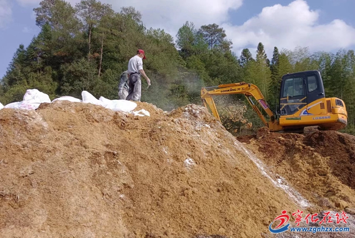 四領(lǐng)一促 | 竹蓀種植忙!寧化這個(gè)鄉(xiāng)鎮(zhèn)開啟助農(nóng)新篇章