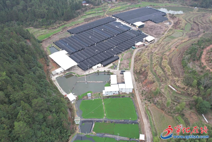 寧化:畜禽、鰻魚(yú)養(yǎng)殖污染整治落實(shí)見(jiàn)效