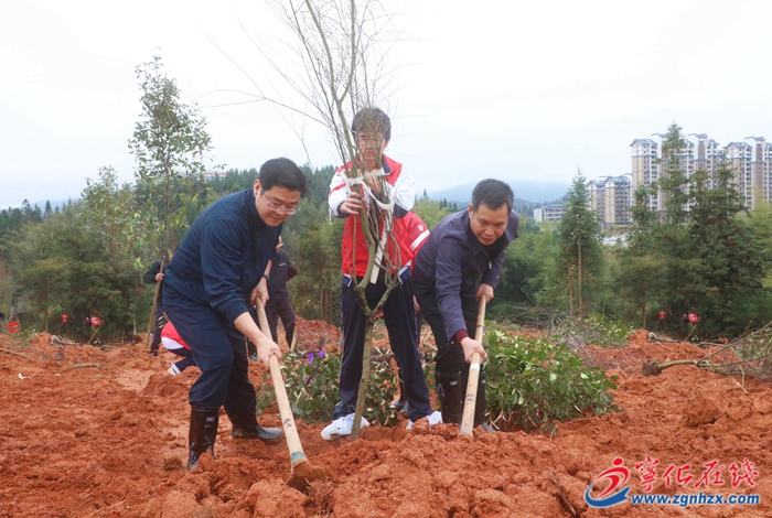 寧化縣領(lǐng)導(dǎo)參加義務(wù)植樹活動