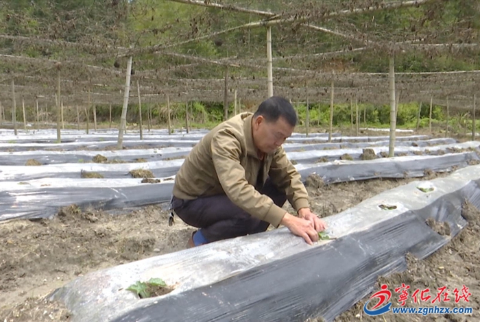 習近平總書記會見馬英九講話引在寧臺商強烈共鳴