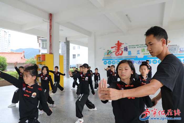 傳統(tǒng)武術進校園