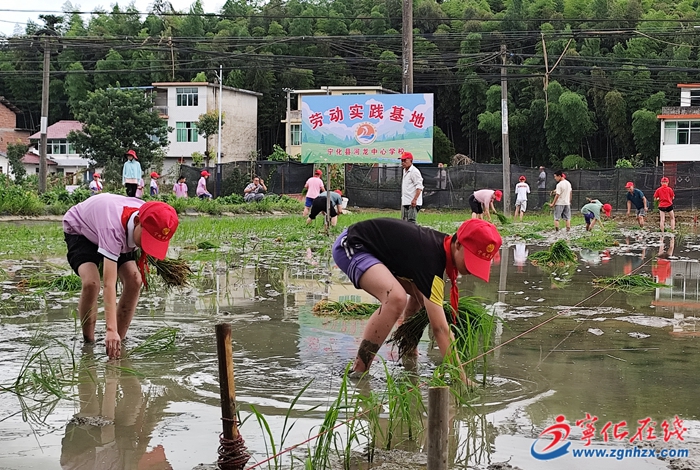 河龍中心學校:體驗貢米種植 收獲勞動樂趣
