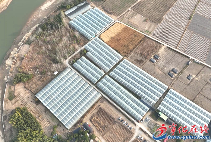 城南鎮:農旅融合新發展 露營采摘樂無窮