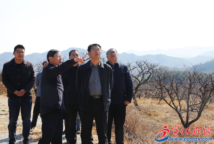 寧化縣領導到泉上鎮(zhèn)調研