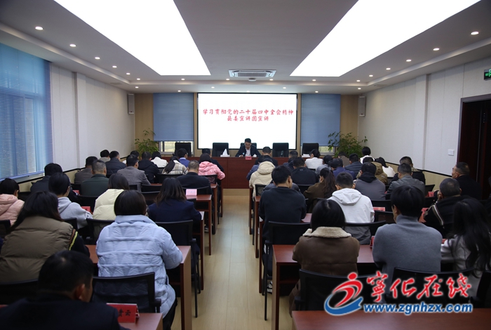 學習貫徹黨的二十屆四中全會精神縣委宣講團赴湖村鎮開展宣講