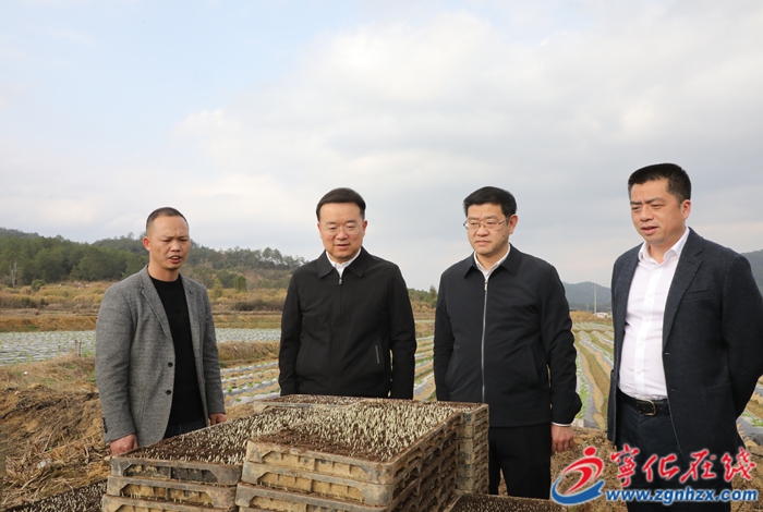 省領導來寧調研掛鉤幫扶工作