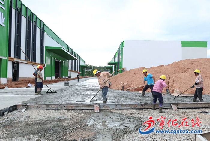 種業“芯片”加速培育 寧化推動制種全產業鏈升級