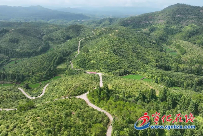 寧化：荒山綠化的水土保持生態(tài)“答卷”