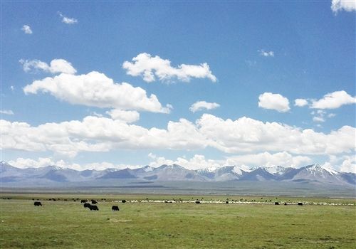 實現人與自然和諧共生 三江源頭打造國家公園典范