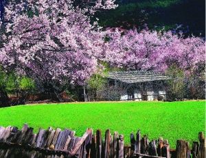 三月錯峰旅行漫游國內外