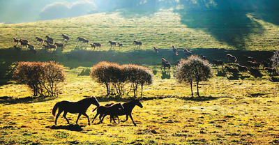 寶雞打造全域旅游新干線