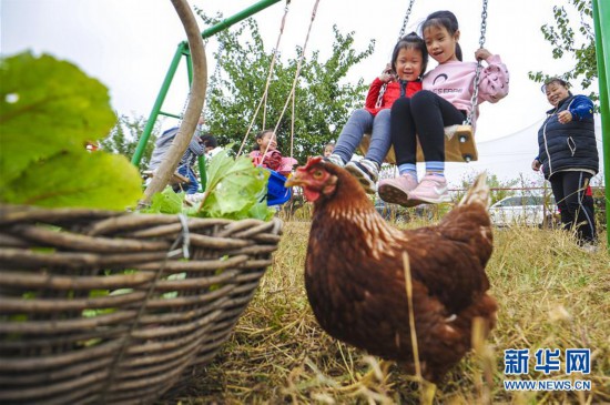 河北永清：“農(nóng)業(yè)+文化+旅游”推動(dòng)鄉(xiāng)村振興