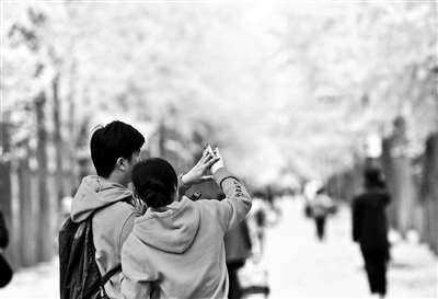 圓明園設(shè)自然生態(tài)區(qū)延長最美秋景