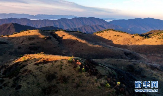 大巴山神田草甸