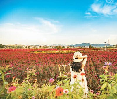 鄉(xiāng)賢返鄉(xiāng) 鄉(xiāng)村更美