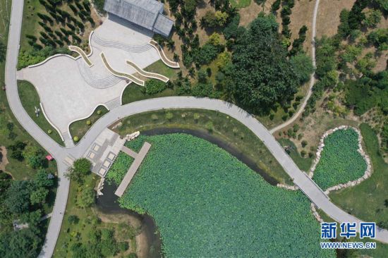 打造城市游園 繪就生態底色