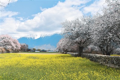 我和西藏有個美麗約定