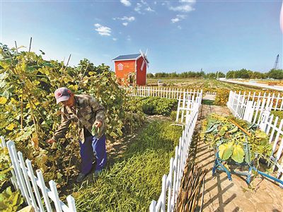 北京豐臺打造鄉村旅游“網紅打卡點”