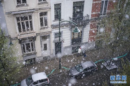 比利時(shí)布魯塞爾迎春雪
