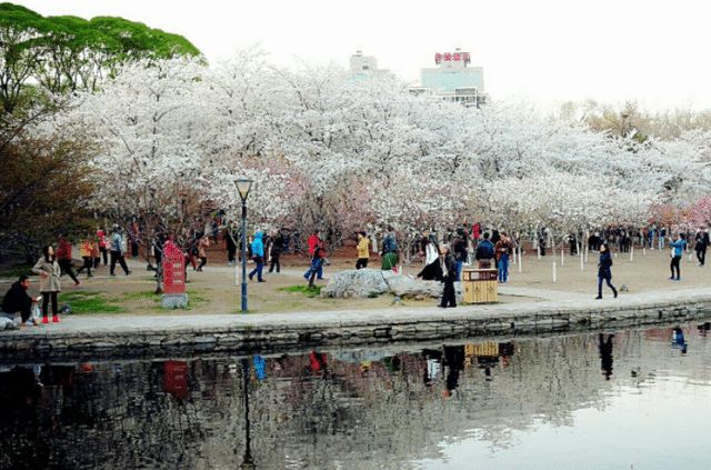 北京聽風賞景的好地方——玉淵潭公園