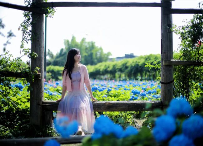 小眾秘境!超大片繡球花海猶如童話世界~