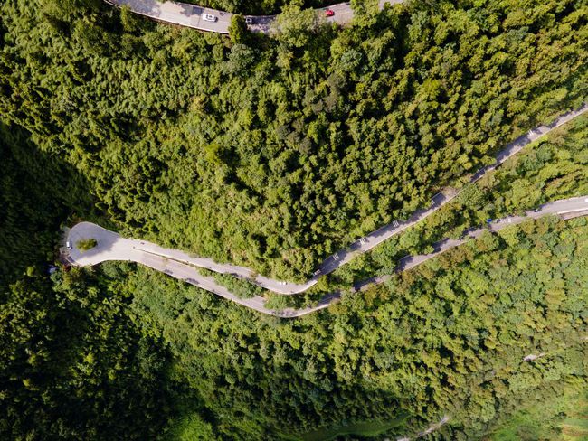 紹興的夏天,藏不住了!